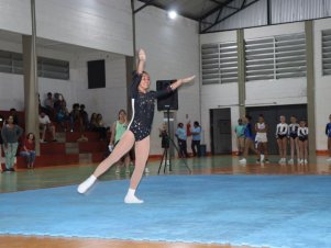 Copa Mineira de Ginástica