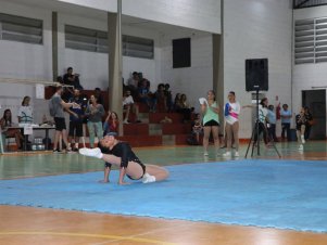 Copa Mineira de Ginástica