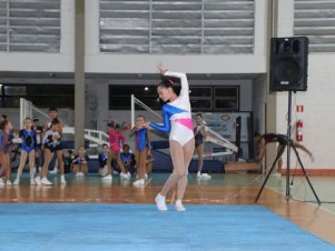 Copa Mineira de Ginástica