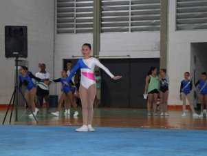 Copa Mineira de Ginástica