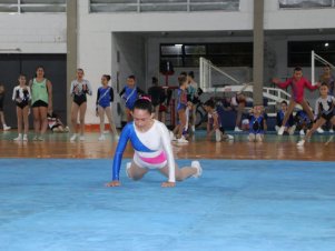 Copa Mineira de Ginástica