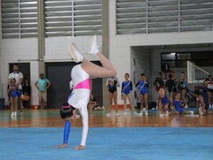 Copa Mineira de Ginástica