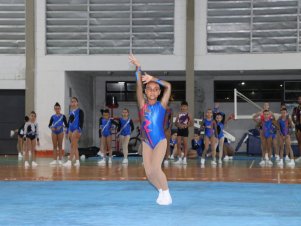 Copa Mineira de Ginástica