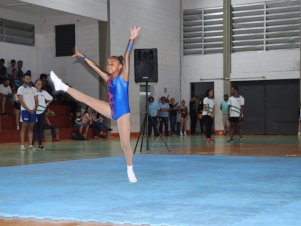 Copa Mineira de Ginástica