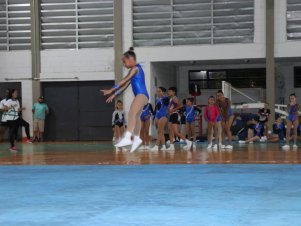 Copa Mineira de Ginástica