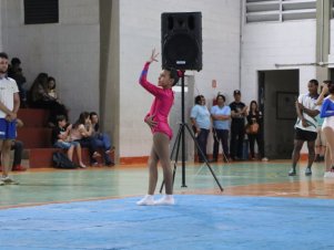 Copa Mineira de Ginástica