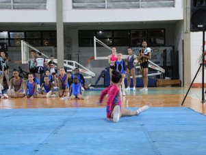 Copa Mineira de Ginástica