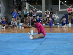 Copa Mineira de Ginástica