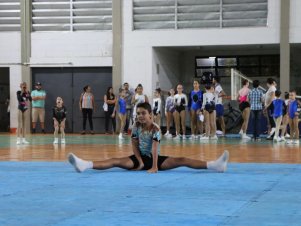 Copa Mineira de Ginástica