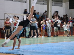 Copa Mineira de Ginástica