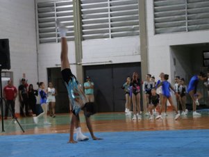 Copa Mineira de Ginástica