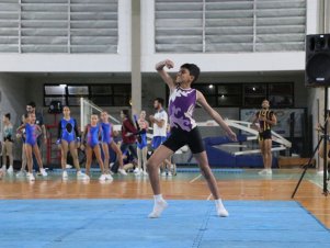 Copa Mineira de Ginástica