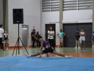 Copa Mineira de Ginástica