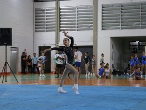 Copa Mineira de Ginástica