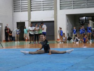 Copa Mineira de Ginástica