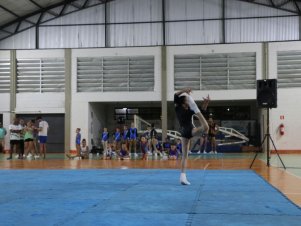 Copa Mineira de Ginástica