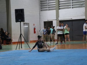 Copa Mineira de Ginástica