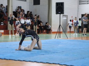 Copa Mineira de Ginástica