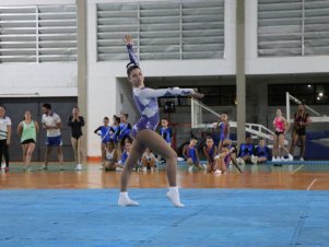 Copa Mineira de Ginástica