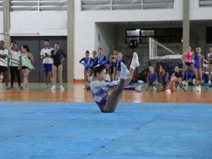 Copa Mineira de Ginástica