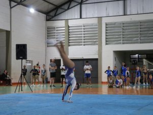 Copa Mineira de Ginástica