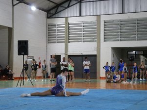 Copa Mineira de Ginástica