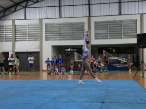 Copa Mineira de Ginástica