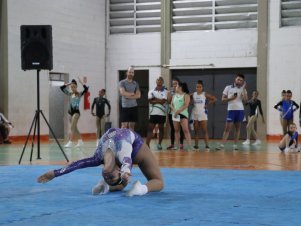 Copa Mineira de Ginástica