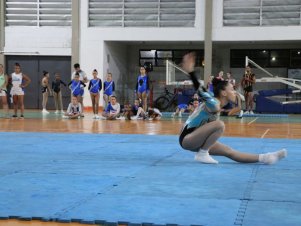 Copa Mineira de Ginástica