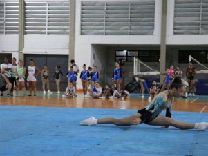 Copa Mineira de Ginástica