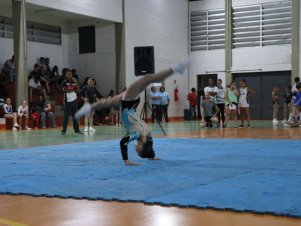 Copa Mineira de Ginástica