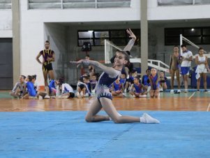 Copa Mineira de Ginástica