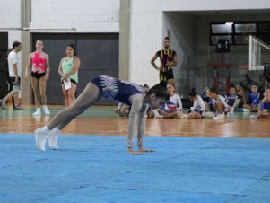 Copa Mineira de Ginástica