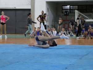 Copa Mineira de Ginástica