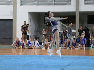 Copa Mineira de Ginástica