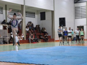 Copa Mineira de Ginástica