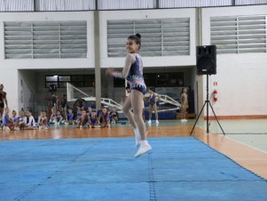 Copa Mineira de Ginástica