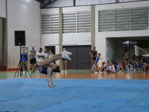 Copa Mineira de Ginástica