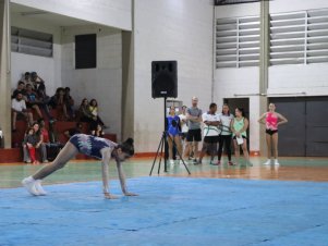 Copa Mineira de Ginástica