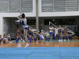 Copa Mineira de Ginástica