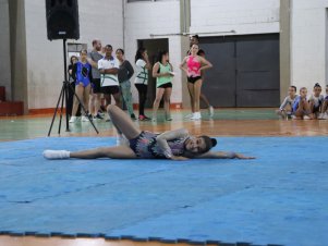 Copa Mineira de Ginástica