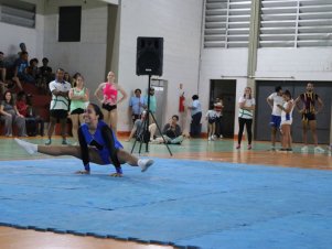 Copa Mineira de Ginástica