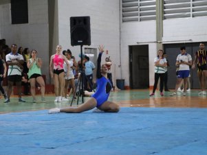 Copa Mineira de Ginástica