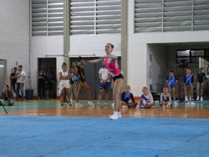 Copa Mineira de Ginástica