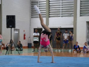 Copa Mineira de Ginástica