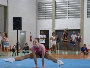 Copa Mineira de Ginástica