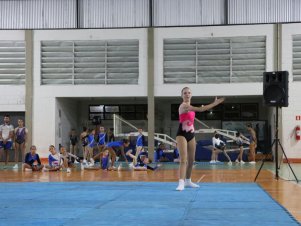 Copa Mineira de Ginástica