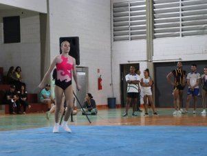 Copa Mineira de Ginástica