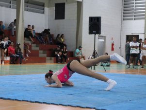 Copa Mineira de Ginástica