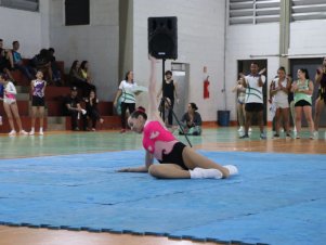 Copa Mineira de Ginástica